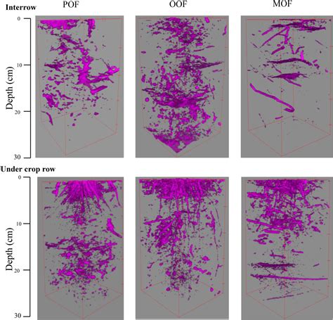 Soil Macroporosity And Water Flow In The Root Zone Of Oases In Hyper