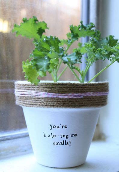 Pot Puns 27 Plant Puns Container Gardening Plants