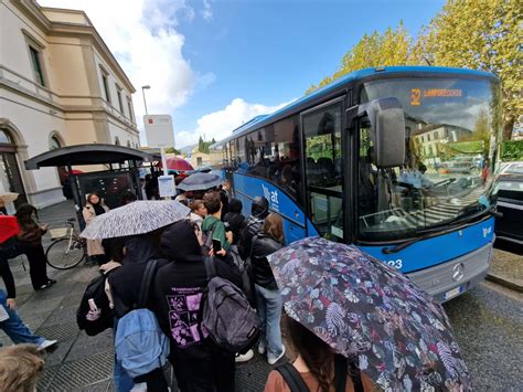 Bonus Trasporti Dicembre Nuovo Click Day La Guida Per Non Perdere