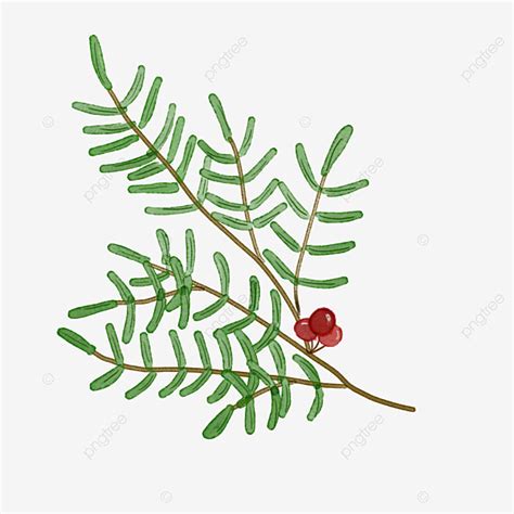 Hand Drawn Style Png Picture Watercolor Plant Green Leaf Hand Drawn