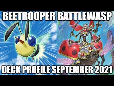 BEETROOPER BATTLEWASP DECK PROFILE SEPTEMBER 2021 YUGIOH YouTube