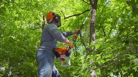 Podadora De Altura Stihl HT 105 Cifer