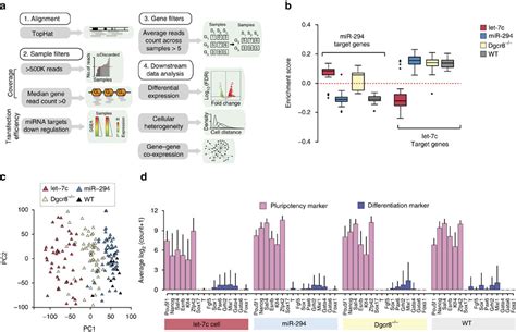 The Impact Of Micrornas On Transcriptional Heterogeneity And Gene Co