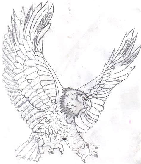 Free Printable Bald Eagle Coloring Pages For Kids