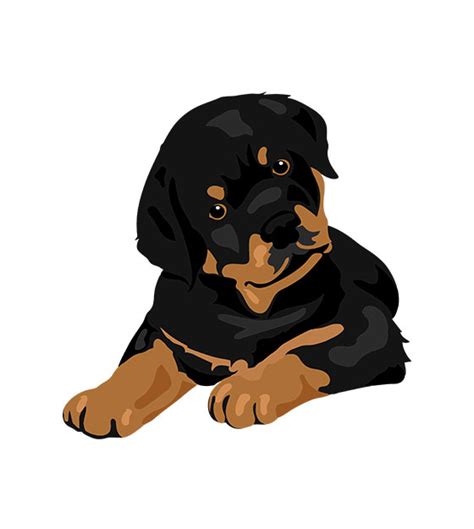 Rottweiler Vector Design Design Shop By Aquadigitizing