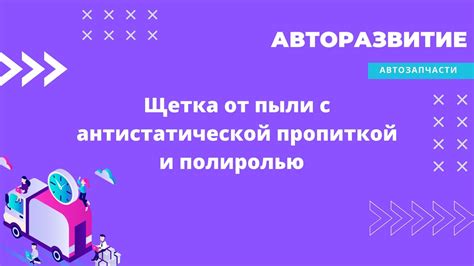 Щетка от пыли с антистатической пропиткой и полиролью / для сбора пыли ...