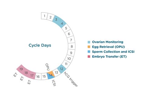 Natural Cycle Ivf Fakih Ivf