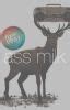 Ass Milk I Wattpad
