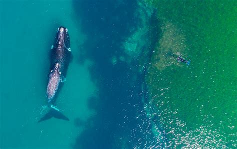 Fotos Estas Son Las Mejores Imágenes Captadas Por Drones En 2017