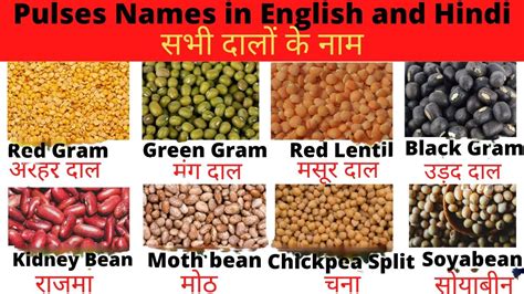 30 Pulses Name In English And Hindi दल क नम Dalo ke Naam