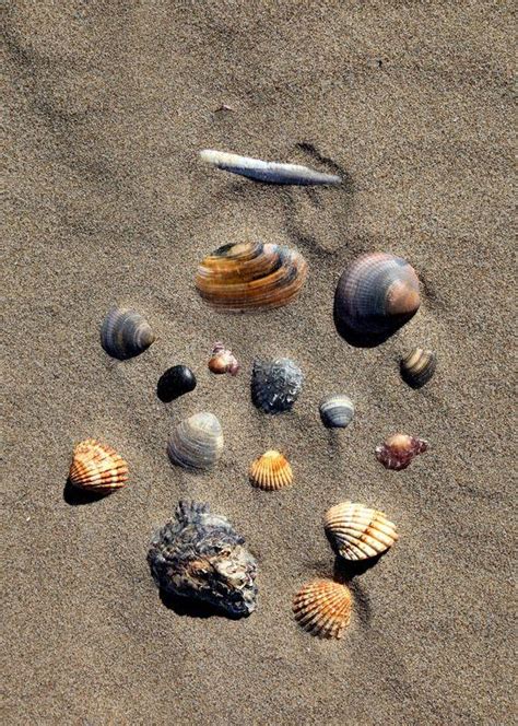 Descubre el paraíso oculto en Monte Gordo Playa sol y diversión