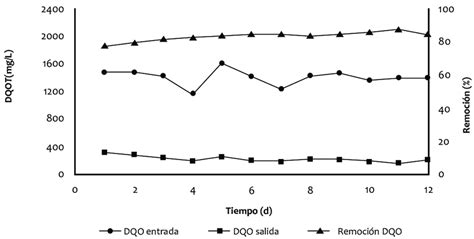 Proceso de aclimatación de la biomasa a los efluentes de la planta