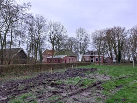 Nieuwsbrief Groengroep Dorpstuin Oosterwijtwerd