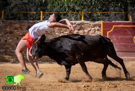 X Toros Capea En La Ganader A El Montecillo Orgaz Toledo