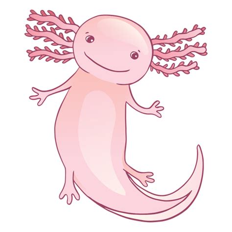 Netter Axolotl Cartoon Png Und Svg Design Für T Shirts