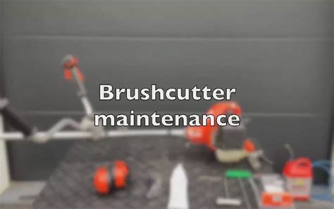 How Do You Maintain A Brush Cutter Bison