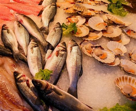 Mercurio En El Pescado ¿debemos Reducir Su Consumo