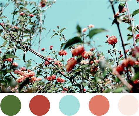 Beautiful Color Palette Forest Green Burnt Orange Mint Blue And