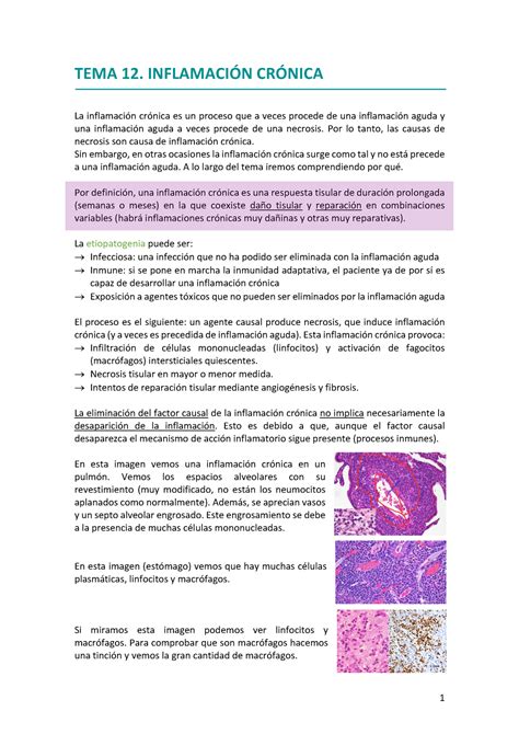 Tema 12 Apuntes 12 Tema 12 InflamaciÓn CrÓnica La Inflamación Crónica Es Un Proceso Que A