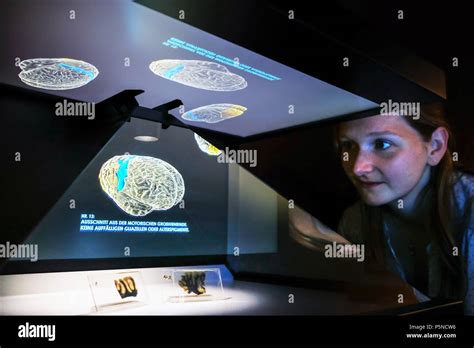 Einstein brain in museum hi-res stock photography and images - Alamy