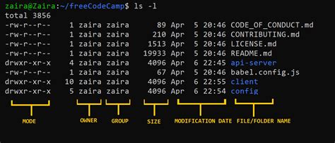 Linux Chmod And Chown How To Change File Permissions And Ownership In