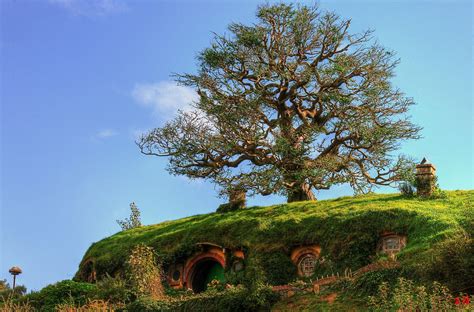 Matamata - Hobbiton, "The Shire". A voyage to Matamata, New Zealand ...