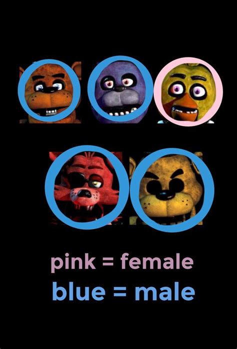 Fnaf Genders Wiki Five Nights At Freddy S Amino