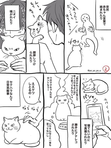 卯月よう Yoyoyou On X 猫のデザイン 猫 漫画 動物