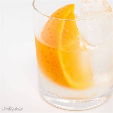 Naked Maja Cocktaillog