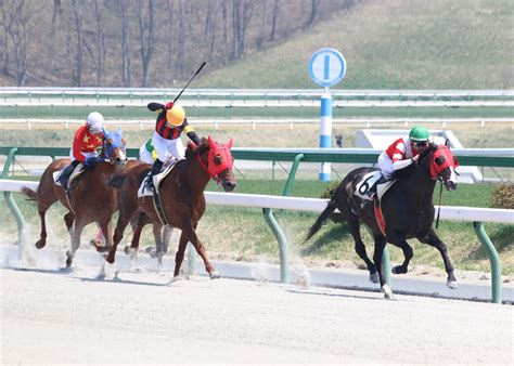 盛岡競馬が開幕 迫力レースでファン魅了【岩手】｜iwanichi Online 岩手日日新聞社