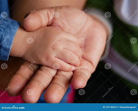 Little Baby Hand In Her Grandmother`s Hand Representing Grandparent