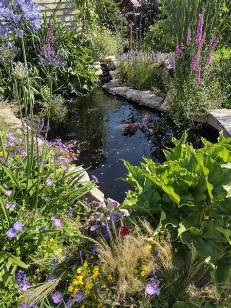 The National Garden Scheme Garden Open Days 64 Cuckfield Crescent Gotolocal Gotolocal