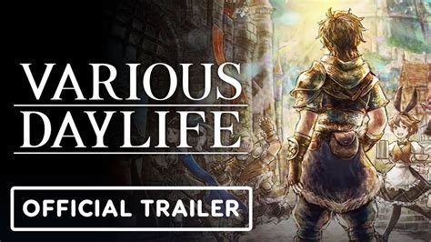 Various Daylife Launch Trailer Youtube