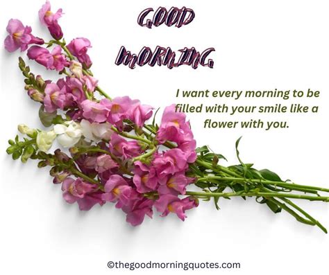 47 Best Good Morning Flower Quotes With Images