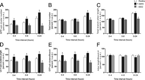 Dcc Mediated Netrin Signaling Contributes To Rgc Axon Presynaptic