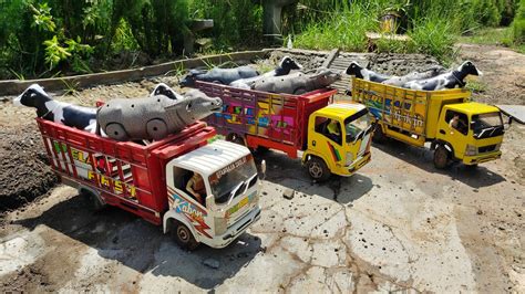 MOBIL TRUK OLENG MUAT INDUK SAPIDAN KERBAU MOBIL MOBILAN REMOT RC