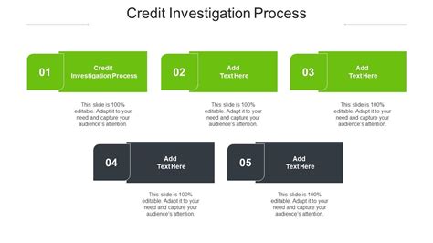 Credit Investigation Process Ppt Powerpoint Presentation Styles Skills