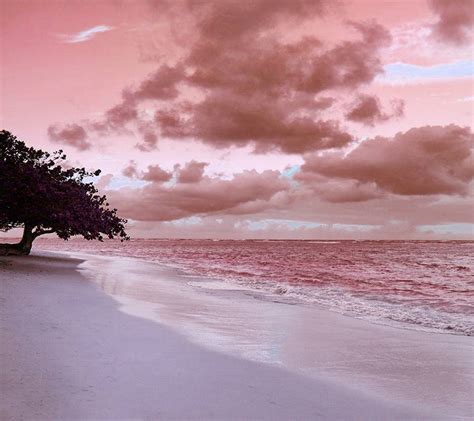 Pink Sand Wallpapers - Top Free Pink Sand Backgrounds - WallpaperAccess