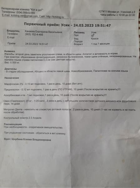 Добрый день! 1. г. Москва 2. Моему крысу Уне ( мальчик) 1 год и 8 ...