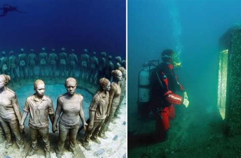 15 photos mystérieuses des fonds marins Voici leurs secrets Tous toqués