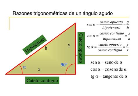 Cateto Opuesto Cateto Adyacente E Hipotenusa Ubicar Correctamente