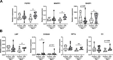 Intra Amniotic Lps Exposure Changed The Expression Of Selected Genes In