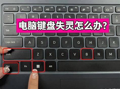笔记本键盘失灵（笔记本键盘失灵怎么修） 十日日知识