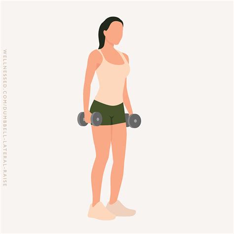 How to Do a Dumbbell Lateral Raise | Illustrated Exercise Guide