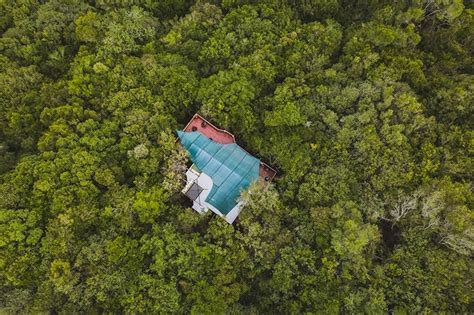 Teniqua Treetops In Sedgefield Garden Route