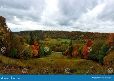 Sunny Autumn Landscape in Sigulda, Latvia Stock Image - Image of ...