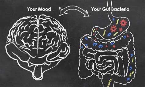 New evidence links specific gut bacteria to depression