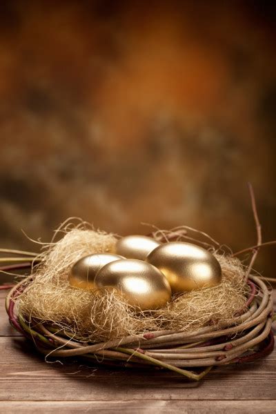 Golden Eggs Nest Stock Photo By Image Hit 372913506