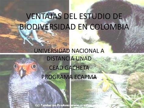 Ventajas Del Estudio De Biodiversidad En Colombia Ppt