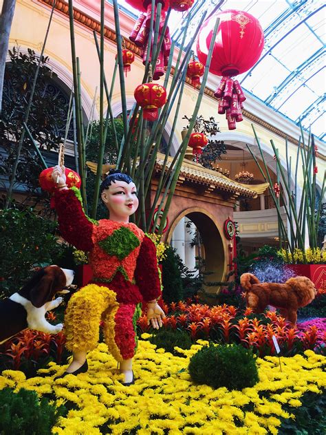 Bellagio Gardens in Las Vegas : r/flowers